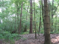 IMG 1309 640607 1