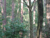 IMG 1315 640607 1