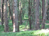 IMG 1318 640607 1