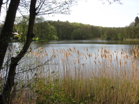 IMG 8251 560614 1